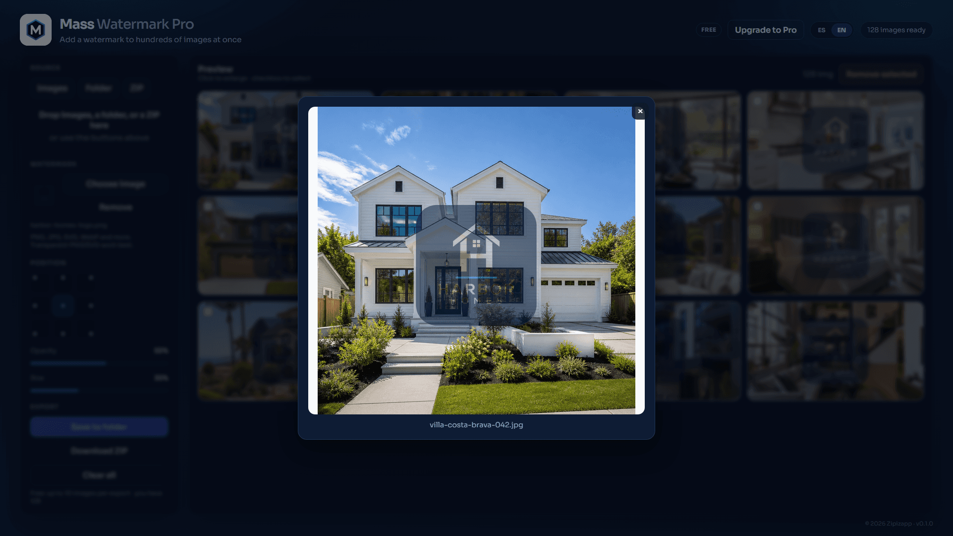 Mass Watermark Pro: preview ampliada